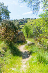 CAMPOS PRIMAVERA CASTILLA