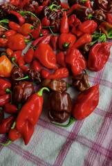 pile of spicy habanero peppers