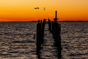 Obraz premium sunset on the beach