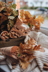 autumn oak acorn notes music
