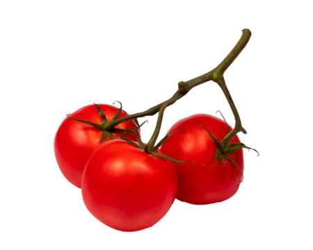 3 pomidory z zieloną gałązką, na przezroczystym tle, png