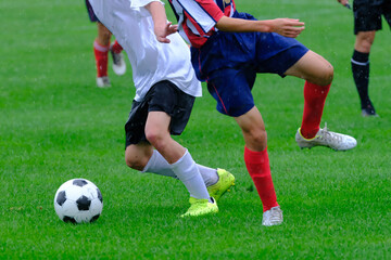 Fototapeta premium サッカー