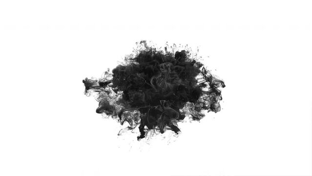 Black Color burst - smoke powder circle particle explosion. Pulsating shockwave particles in slow motion. Fluid ink alpha matte isolated on white 4k