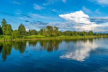 Serene river and forest