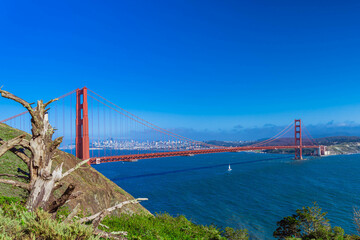 Popular Golden Gate Bridge and San Francisco Downtown 