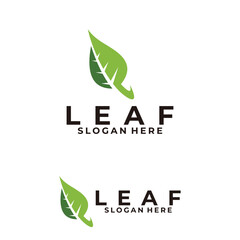 Leaf logo icon vector isolated