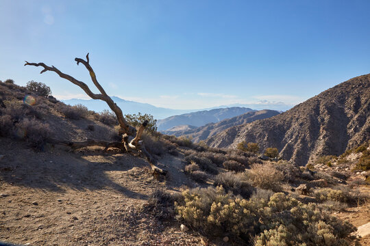 Rustic Hiking Trails On The Top Of A Mountain Overlooking Hills And Valleys Near Palm Springs California