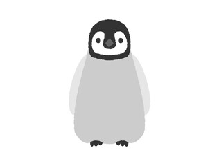 ペンギンの子どものイラスト