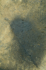 Automobile engine oil dripping on cement floor is a common stain and slippery of old cars that lack maintenance by skilled technicians.