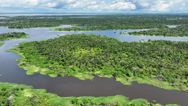 Amazonian Forest At Manaus Amazonas Brazil. Recreation Background Riverscape. Eco Recreation. Wilderness Hydrography Basin Sights. Amazon Outdoors Island. Manaus Amazonas Riverfront