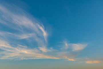 Obraz premium 羽ばたく朝空
