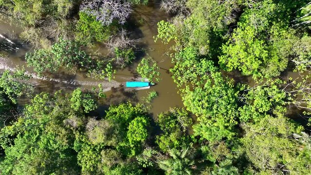 Boat Sailing At Manaus Amazonas Brazil. Eco Amazonia Amazon River. Green Of Eco Lifestyle. Biodiversity Green Basin. Outdoor Island. Manaus Amazonas Ride