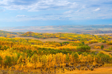 Sweeping Panorama of Beautiful Alberta, Canada, Prairie Landscape in Autumn Colors