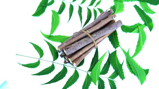 Medicinal neem leaves Azadirachta indica ,Siamese neem leaves, Neem leaves. Azadirachta indica - A branch of neem tree leaves. Natural Medicine.