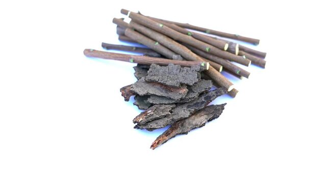 Medicinal neem leaves Azadirachta indica ,Siamese neem leaves, Neem leaves. Azadirachta indica - A branch of neem tree leaves. Natural Medicine.