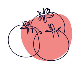 tomatoes line drawing