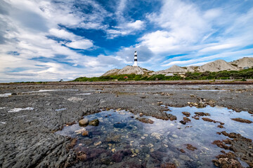 Cape Campbell lighthouse on the South Island of New Zealand