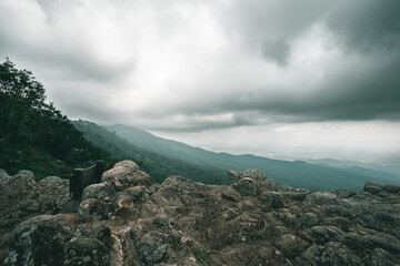 overview of deep forest with dark sky on the top of mountain