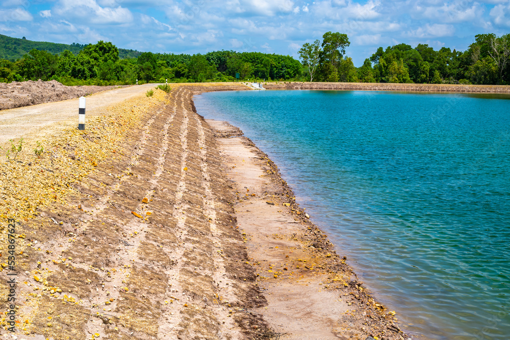 Wall mural beach with trees