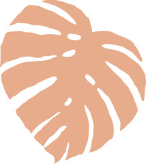 organic monstera leaf © moonnoon