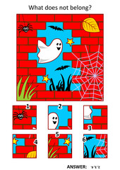 Halloween logic puzzle game. Little ghost in tne night, red brick wall ruin, spider, bats. What does not belong?
