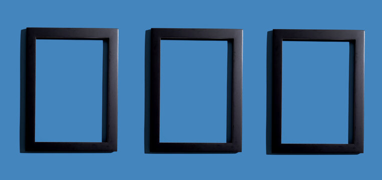 Blank rectangle picture frames