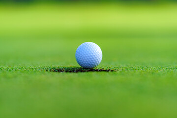 Golfer putt golf ball into hole on the green at golf course