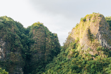 landscape with trees and clouds