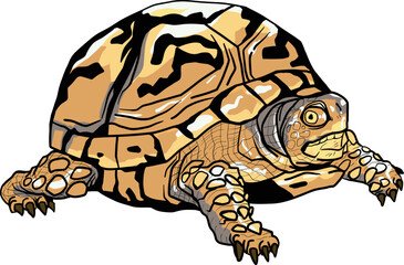 Yellow turtle vectors art style drawing artistic