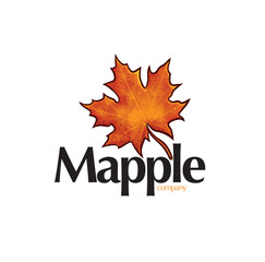 Funny Mapple company logo templaet