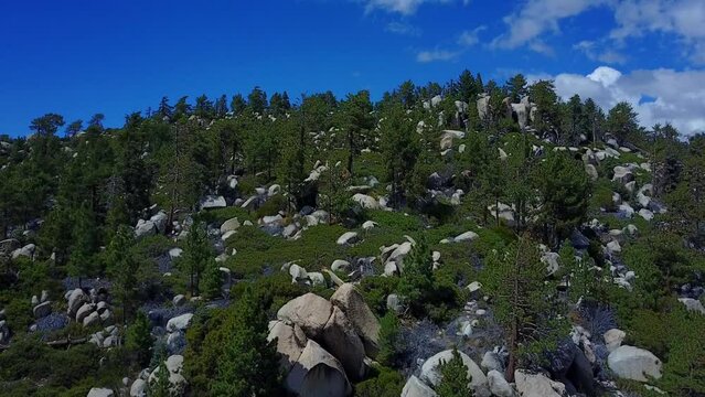 San Pedro Martil, BCS, M&eacute;xico.