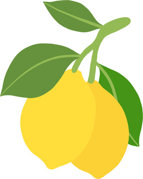 recommend clip art: doodle freehand sketch drawing of lemon fruit.