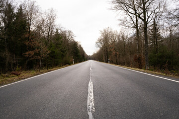 Obraz premium View of a asphalt road between trees in the landscape on a cold day in autumn 