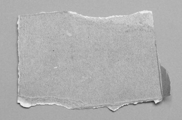 pieces of torn paper texture background with copy space for text