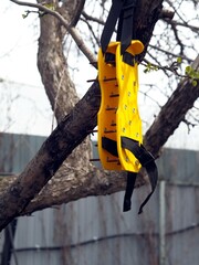 On a tree hangs gardening tools, which you can put on your feet to loosen the lawn. Lawn care.