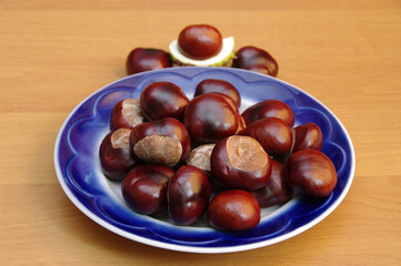 Horse chestnut close-up in a blue plate on a yellow background. Selective focus.