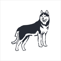 Fototapeta na wymiar Dog illustration logo, pet crest design on white background