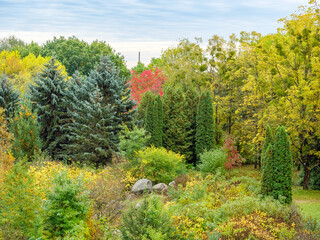 Colorful park of coniferous and deciduous trees and bushes
