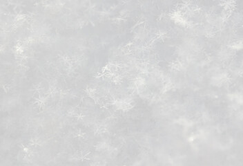 Small white snowflakes in winter as a background.