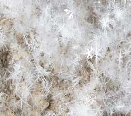 White snowflakes in winter as a background.