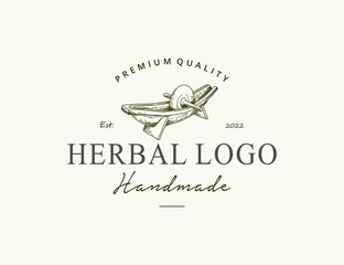 Vintage herbalist hand drawn logo design