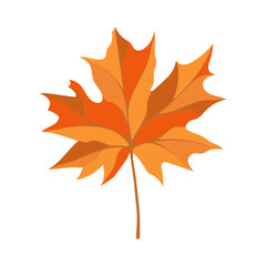 Autumn Maple Leaf