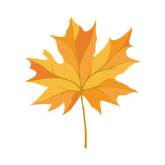 Autumn Maple Leaf