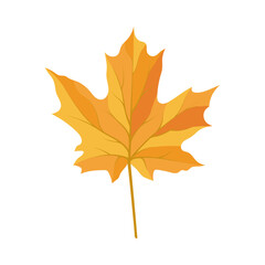 Autumn Maple Leaf