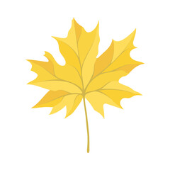 Autumn Maple Leaf