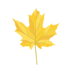 Autumn Maple Leaf