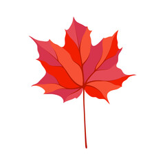 Autumn Maple Leaf