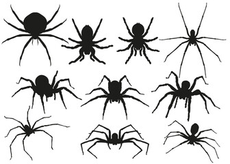 Halloween set Stickers Spiders