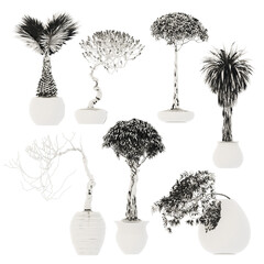 Set of 7 beautiful detailed bonsai Japanese trees in sepia colors. Set of detailed 3D elements in very high resolution with full transparency. Black and white 3D abstract illustration