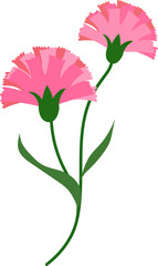 Cartoon botanic garden plant flower pink carnation
